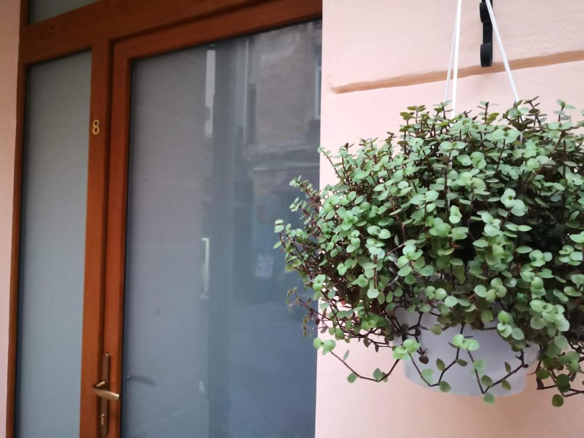 Затишні Апартаменти, Вулиця Дерибасівська, 13 Odesa Exterior foto
